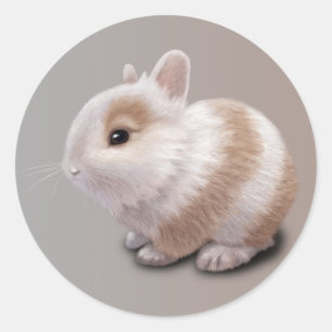 Pegatina Redonda Baby Bunny