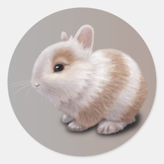 Pegatina Redonda Baby Bunny (Anverso)
