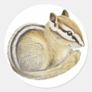 Pegatina Redonda Baby Chipmunk