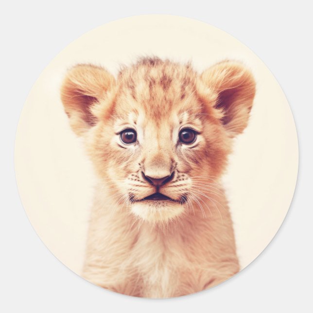 Pegatina Redonda Baby Lion (Anverso)
