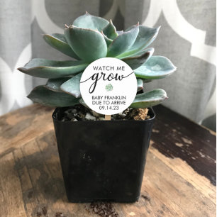 Pegatina Redonda Baby Shower Succultor personalizado
