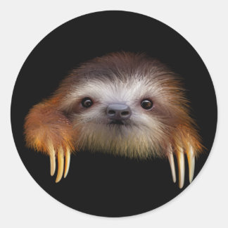 Pegatina Redonda Baby Sloth
