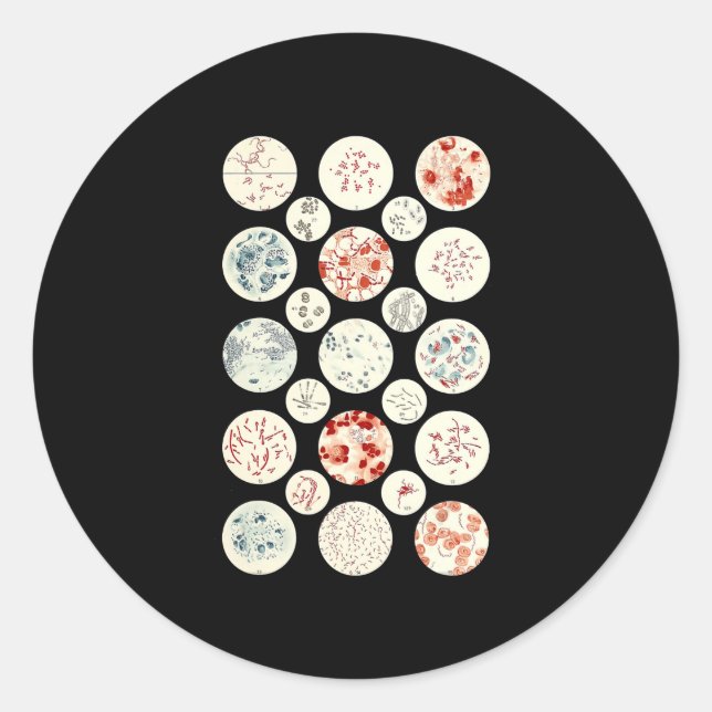 Pegatina Redonda bacterias microbiología divertida bacteriología ci (Anverso)