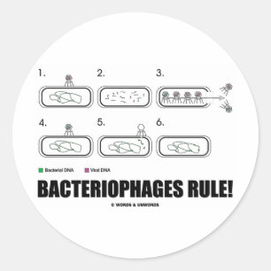 Pegatina Redonda Bacteriófilos ¡Regla! (ADN de virus bacterianos)