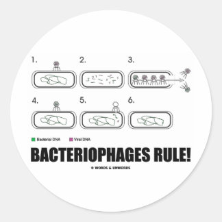 Pegatina Redonda Bacteriófilos ¡Regla! (ADN de virus bacterianos)