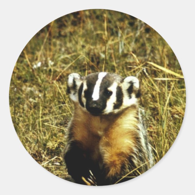 Pegatina Redonda Badger (Anverso)