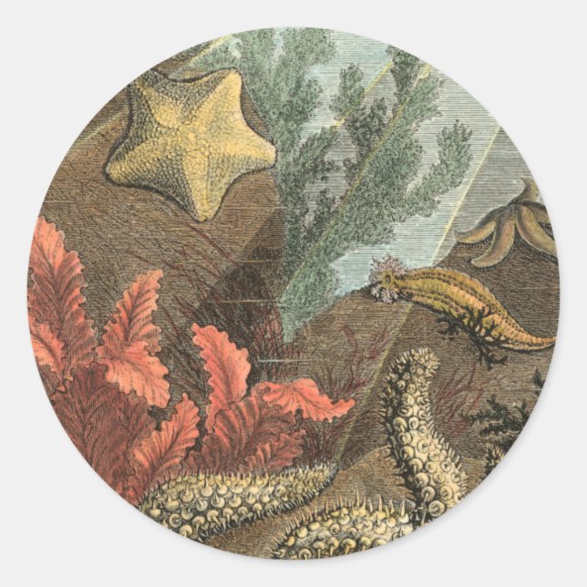 Pegatina Redonda Bajo el mar (Anverso)