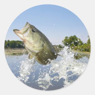 Pegatina Redonda Bajo salte 2013