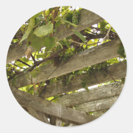 Pegatina Redonda Bajo un toldo de uvas