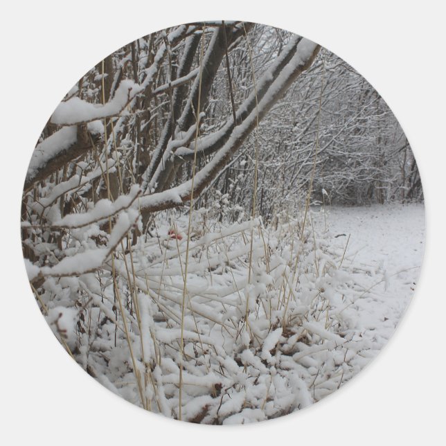 Pegatina Redonda Bajo una manta de nieve (Anverso)