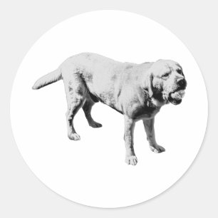 Pegatina Redonda Ball Hog