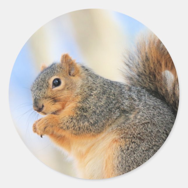 Pegatina Redonda Baloncesto actual (Anverso)