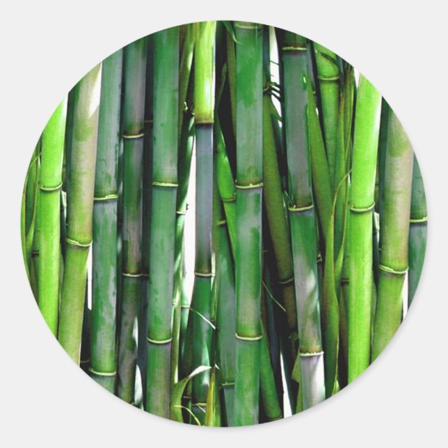 PEGATINA REDONDA BAMBOO (Anverso)