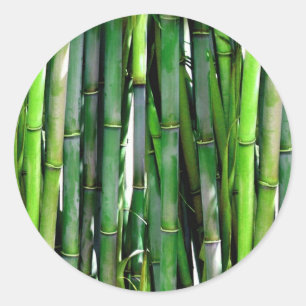 PEGATINA REDONDA BAMBOO