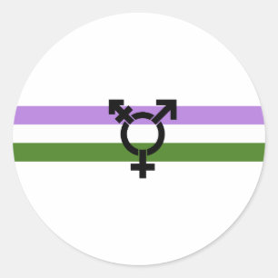 Pegatina Redonda Bandera de orgullo genderqueer