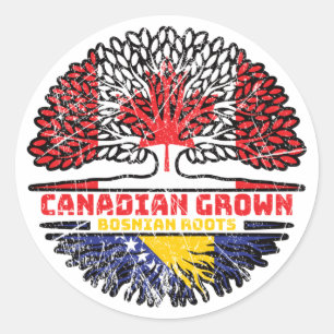 Pegatina Redonda Bandera de raíces bosnias de árbol canadiense cana