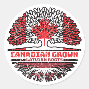 Pegatina Redonda Bandera de raíces de árboles de Canadá letón