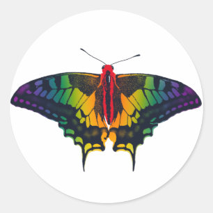 Pegatina Redonda Bandera del Orgullo Arcoiris Mariposa Tradicional