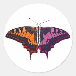 Pegatina Redonda Bandera del Orgullo Lésbico Mariposa Trasera
