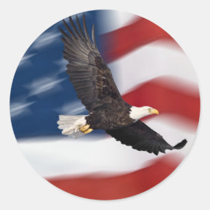 Pegatina Redonda Bandera y águila de Estados Unidos