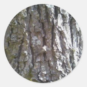 Pegatina Redonda Baraja de árbol de hickory de pignus
