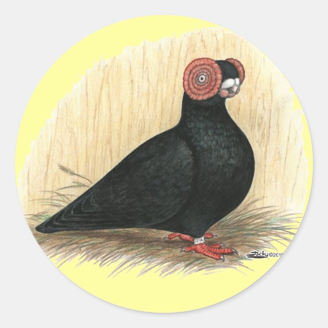 Pegatina Redonda Barb Pigeon Standard Black (Anverso)