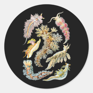 Pegatina Redonda Barras marinas