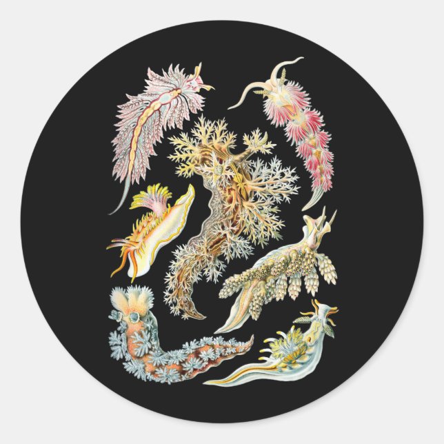 Pegatina Redonda Barras marinas (Anverso)