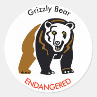 BARRIO silvestre Grizzly - En peligro de extinción