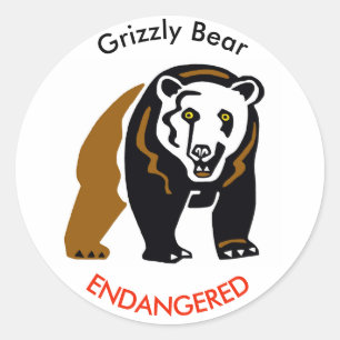 Pegatina Redonda BARRIO silvestre Grizzly - En peligro de extinción