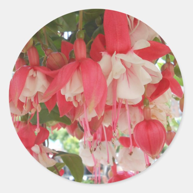 Pegatina Redonda Bashkirtseff (Anverso)