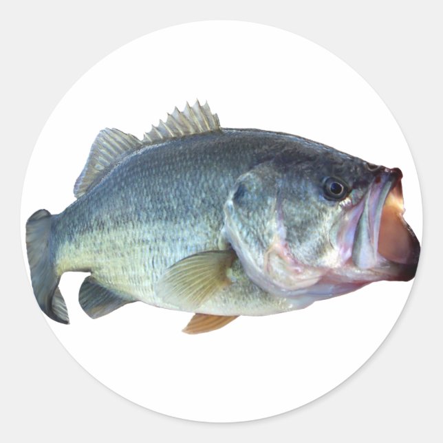 Pegatina Redonda Bass Fish (Anverso)