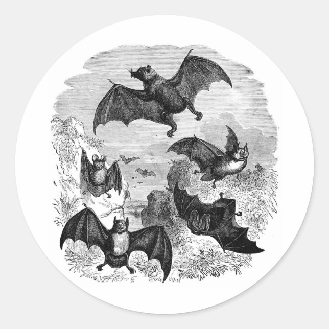 Pegatina Redonda Bat Sketch (Anverso)