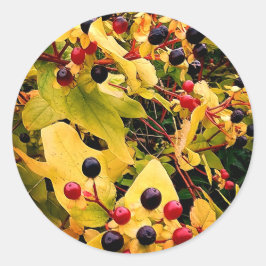 Pegatina Redonda Bayas negras y rojas