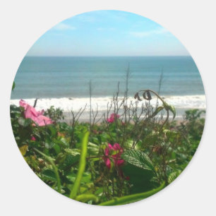 Pegatina Redonda Beach Plum Beach Bum