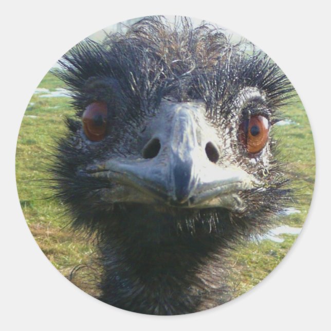 Pegatina Redonda Beady Eyes EMU (Anverso)