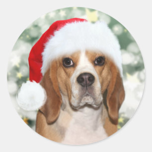 Pegatina Redonda Beagle en Navidades Santa hat