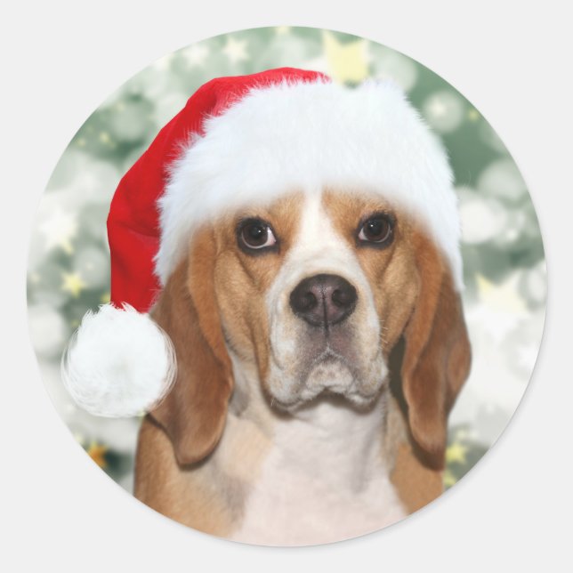 Pegatina Redonda Beagle en Navidades Santa hat (Anverso)