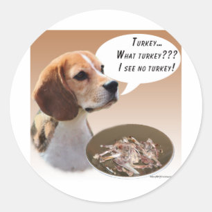 Pegatina Redonda Beagle Turkey