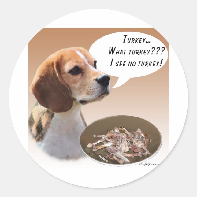 Pegatina Redonda Beagle Turkey (Anverso)