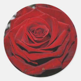 Pegatina Redonda Beautiful Hablas rosa