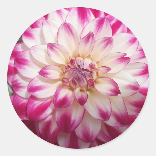 Pegatina Redonda Beaux (Anverso)