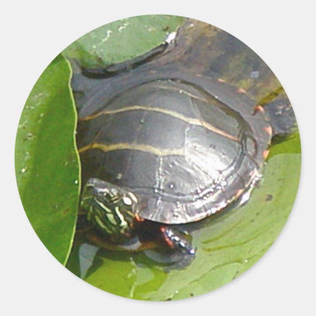 Pegatina Redonda Bebé con tortuga pintada en ílipos (Anverso)