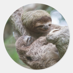 Pegatina Redonda Bebé espumoso con madre colgando de un árbol