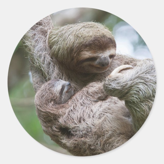 Pegatina Redonda Bebé espumoso con madre colgando de un árbol (Anverso)