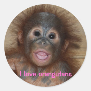 Pegatina Redonda Bebé orangután lindo