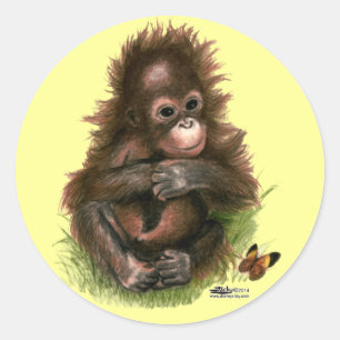Pegatina Redonda Bebé orangután y mariposa