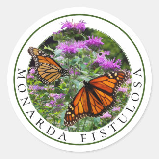 Pegatina Redonda Bee Balm Monarda y las mariposas monarcas