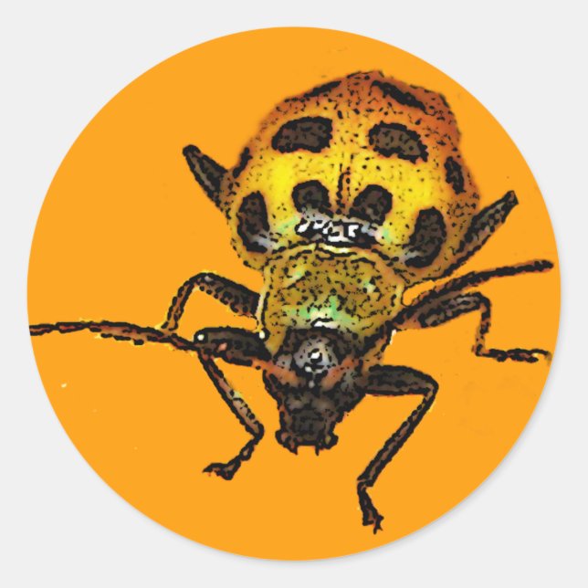Pegatina Redonda Beetle (Anverso)