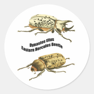 Pegatina Redonda Beetle hercules